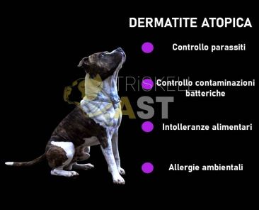 Dermatite atopica
