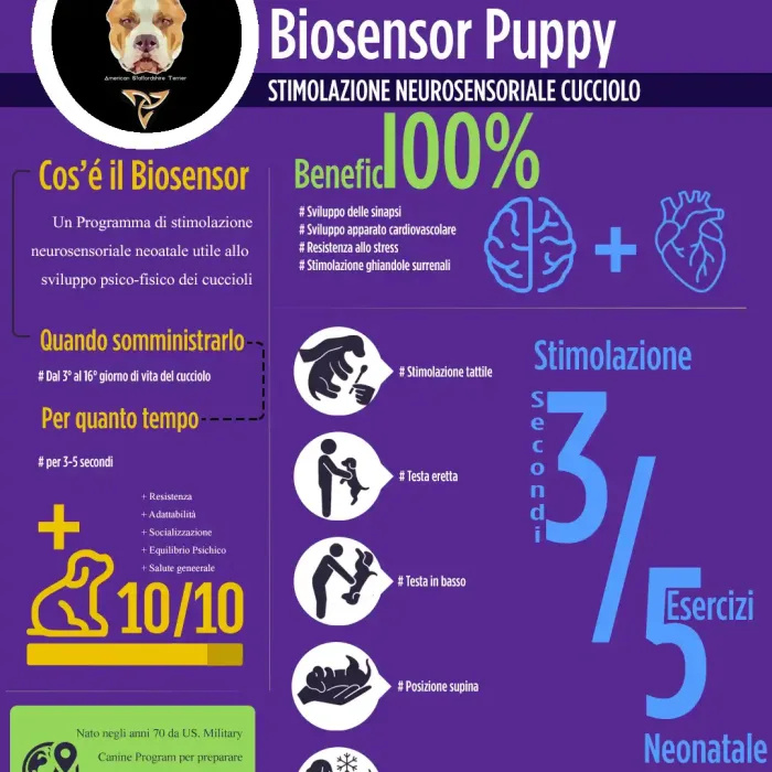 Biosensor Puppy - Stimolazione neurosensoriale cuccioli Infografica Triskell Ast